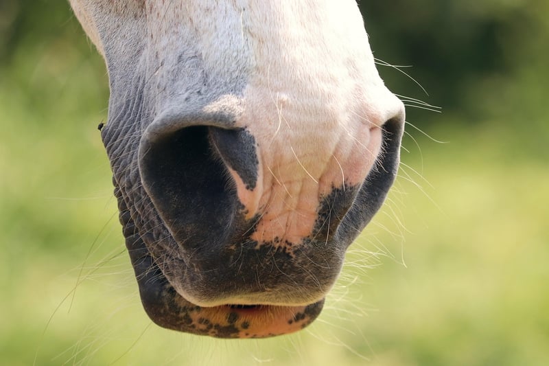 Alternate nostril breathing